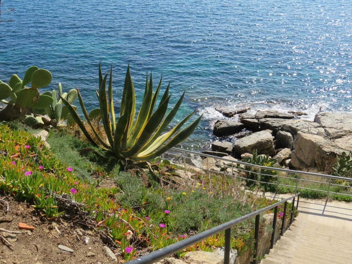 Superbe Premiere Ligne Avec Piscine